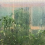 Alison Sudol Instagram – allotment / Zurich