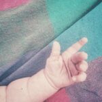 Alison Sudol Instagram – it’s just as good the second time around