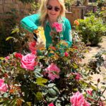 Alison Sweeney Instagram – I am completely in love with our rose garden. Dave catches me watching YouTube videos about how to take care of roses.  The whole process has brought us such joy. Im happy to report our newest additions to the rose garden are blooming and thriving. 🌹 happy #nationalgardeningday #roses #outdoors #sunnies ☀️