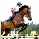 Alison Sweeney Instagram - Megan & Abracadabra have been magic together. So fun to see them Champions of 1.10 Ch Jumpers @thunderbirdshowpark such a fun show! Great photos by @sarashierphotography !