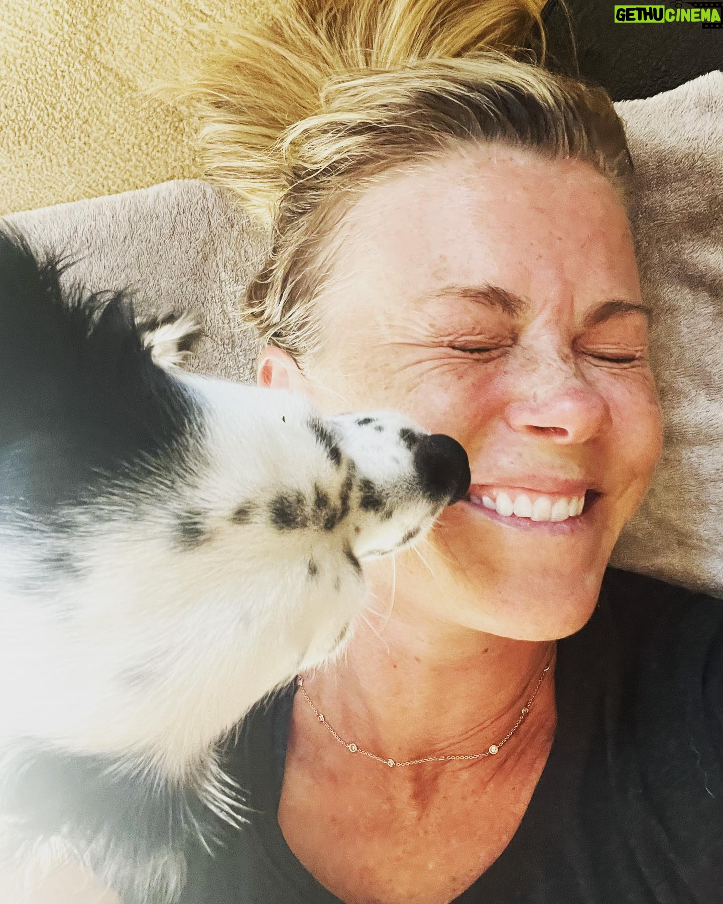 Alison Sweeney Instagram - Feeling the birthday love today. Thank you everyone. 🥳💕