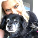 Alison Sweeney Instagram - Thinking of the rescue dogs that have such a special place in our hearts I wanted to share a link to help @americanhumane who have been on the frontlines caring for animals in the aftermath of the Maui wildfires. If you would like to contribute to their grant to help Maui Humane Society provide critical aid please see the link in my bio. 🐈 🐶 ❤️