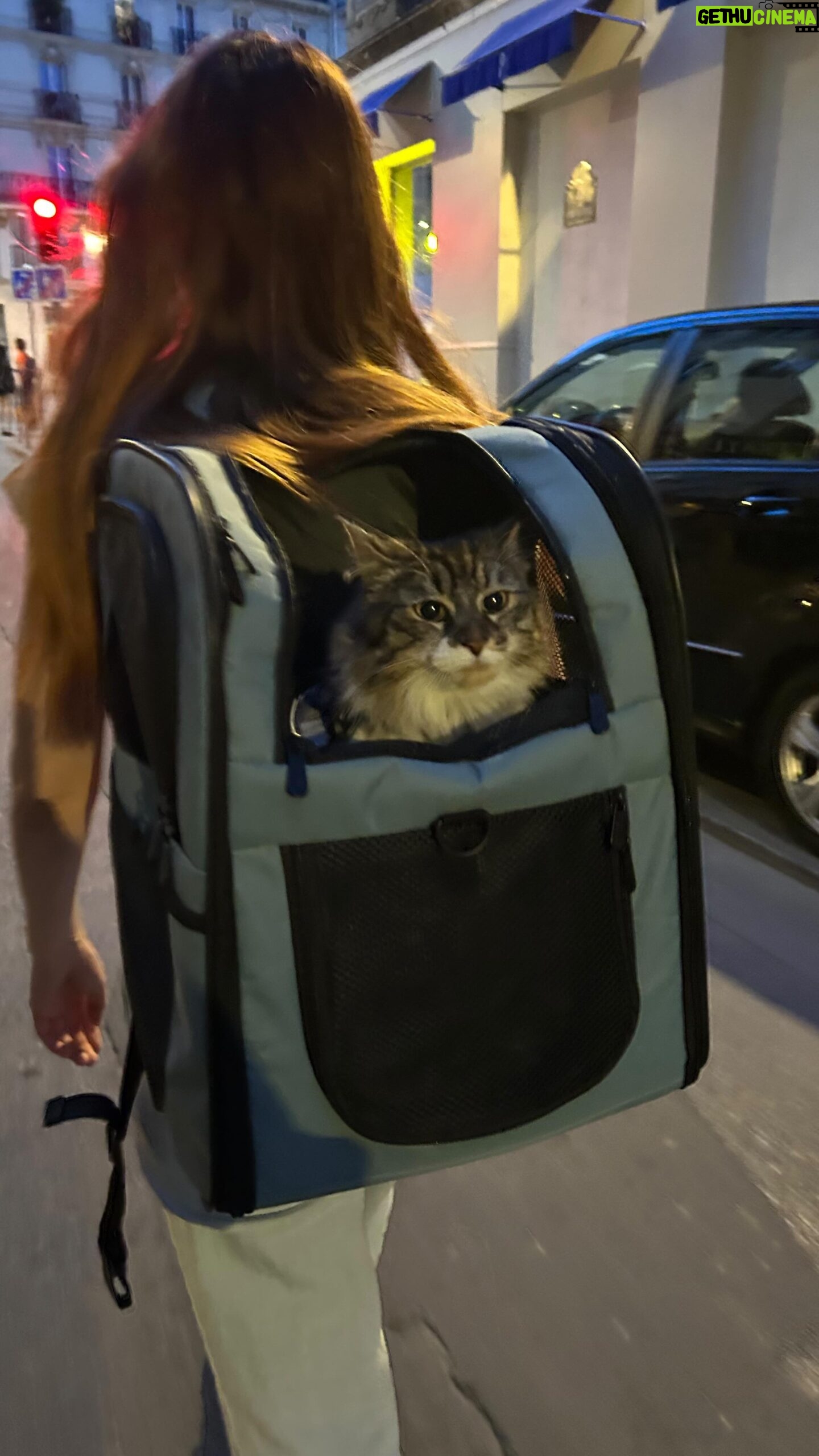 Alison Wheeler Instagram - En promenade avec mon bagage émotionnel Cat lady level 10 🚀