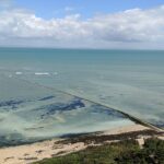 Alison Wheeler Instagram – Je n’avais jamais vu l’île de Ré avant hier. Eh bien c’est magnifique que voulez vous que je vous dise!? 🌅👩‍🦰🌿
