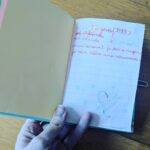 Alison Wheeler Instagram – Exclu – Nouvel extrait du journal intime de mes 7 ans intitulé “des rêves plein la tête” – l’Irlande c’est vraiment mieux que le Club Med 😂😘 merci Maman