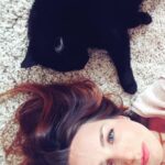 Alison Wheeler Instagram – DIM😻NCHE