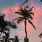 Alissa Skovbye Instagram - somewhere in PV