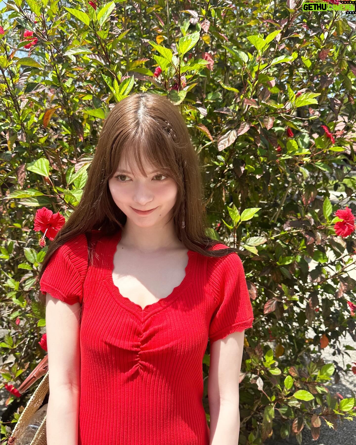 Alissa Yagi - 3 Likes - 🌴😎父と久々の二人旅。