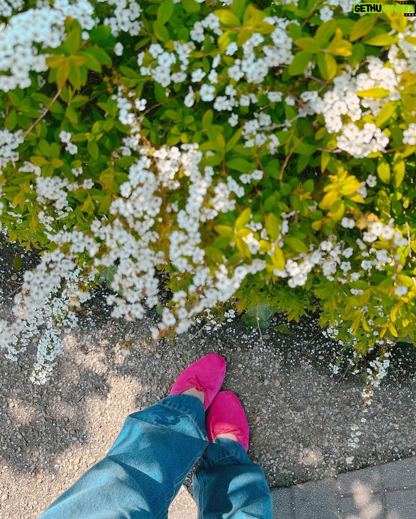 Alissa Yagi - 3 Likes - 今日の私服とメイクレシピ。☺️🌸
アイシャドウは @chanel.beauty コーラルトレジャー、
リップ @rmkofficial サクラメルト、
チーク @guccibeauty ロージータン です。♡