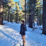 Alizé Cornet Instagram - Not the usual pictures from Indian Wells 😉❄️