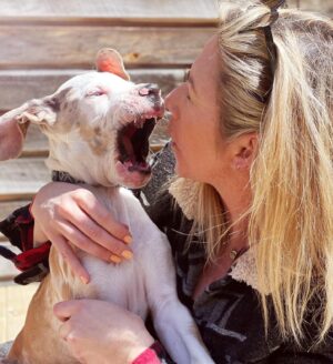 Allie McCulloch Instagram - meet TUNA!
our newly adopted, ridiculously floppy-eared deaf Great Dane pup. and he’s the actual bee’s knees. even when he’s chewing on my actual face or actual children