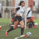 Alline Calandrini