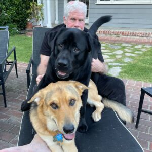 Allison Dunbar Instagram - My boys ❤️❤️❤️ (all rescues😋)
@perlmutations 
@pupswithoutborders 
@joeyandbailey 
#adoptdontshop #rescuedogsofinstagram #rescuedismyfavoritebreed #adoptadogsavealife #shelterdogsarethebest #shelterdogsofinstagram