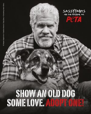 Allison Dunbar Instagram - Helping dogs is so important to me and I joined @peta with my adopted pups Harrington and my late Sassy (who we miss dearly) to promote adoption ❤️ There are 70 million homeless animals in the U.S. right now. Please remember to adopt and never buy dogs in Sassy’s memory, it makes a huge difference 🐾

 

Photographer: Shayan Asgharnia @shayan.asgharnia

Creative Director: Greg Garry @eyesofgreggarry

Director of Photography: Jordan Ritz @jordanritz_dp

Photo Assistant: Victor Hernandez @vic.luciano.images

Lighting Technician: Sash Popovic

Sound: Alexis Martinez 

Assistant camera: Ben Smith

Steadicam: James Marin @jamesmarin3

Grooming: Aaron Barry @abhairmakeup