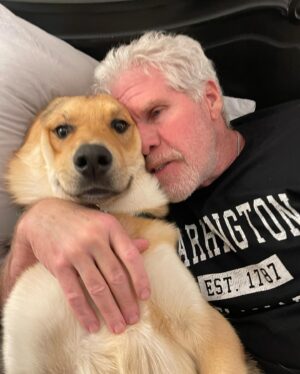 Allison Dunbar Instagram - Happy National Adopt A Shelter Pet Day❤️ My dogs are Angels. Supermodels. Buffoons. House Clowns. Creeps. Bed Hogs. Loves of my life. Please consider adopting a shelter pet. It will change your life. ❤️❤️❤️❤️❤️❤️❤️❤️❤️ #savethemall #adoptdontshop #shelterdogsrock #myfavoritebreedisrescued #rescuedogsofinstagram #shelterdogsaresexy #purebredsinthesheltertoo #blacklabsofinstagram #labmixesofinstagram #shepskysofinstagram #sableshepherd #lomls #Ronisarescue #adoptyourpets #shelterpets #happynationaladoptashelterpetday