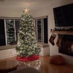 Allison Munn Instagram - 2022. 🎄