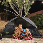 Allison Munn Instagram - Day 309 of this lockdown & I’m officially out of ideas for entertaining the kids. Back to camping in the back yard, I guess? 🏕