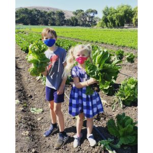 Allison Munn Instagram - We played hooky from zoom school today & went to the farm.