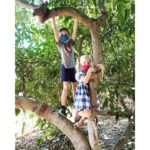 Allison Munn Instagram - We played hooky from zoom school today & went to the farm.