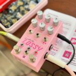 Allison Scagliotti Instagram - Today’s desk view. @chasebliss Lossy and custom picks from @ernieball. #pedalboard #pedalgirl