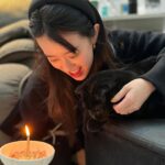 Ally Chiu Instagram - 🎂🐈‍⬛🖤 六歲生日快樂 我的寶貝兒子Aryan 摺耳貓很不容易照顧 加上你又是腎貓 結石貓 我知道你能活到這個歲數已經很不容易了 媽媽會更用心的照顧你 愛你 所以答應我要陪我再久一點喔 今天 就破例讓你吃一次好吃的🤓
