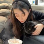 Ally Chiu Instagram - 🎂🐈‍⬛🖤 六歲生日快樂 我的寶貝兒子Aryan 摺耳貓很不容易照顧 加上你又是腎貓 結石貓 我知道你能活到這個歲數已經很不容易了 媽媽會更用心的照顧你 愛你 所以答應我要陪我再久一點喔 今天 就破例讓你吃一次好吃的🤓