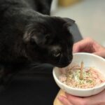 Ally Chiu Instagram - 🎂🐈‍⬛🖤 六歲生日快樂 我的寶貝兒子Aryan 摺耳貓很不容易照顧 加上你又是腎貓 結石貓 我知道你能活到這個歲數已經很不容易了 媽媽會更用心的照顧你 愛你 所以答應我要陪我再久一點喔 今天 就破例讓你吃一次好吃的🤓