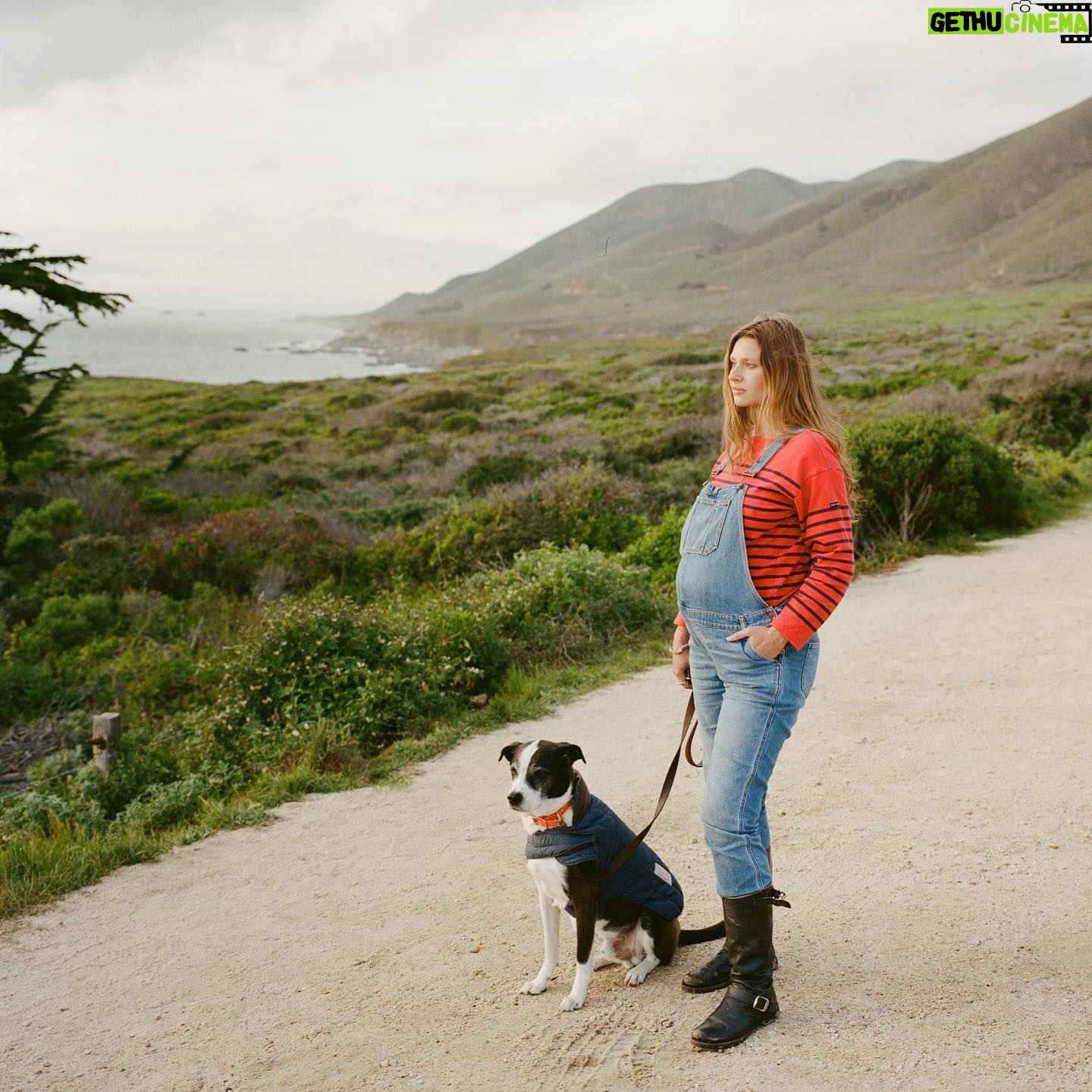 Aly Michalka - 15.1K Likes - My best friend & I exploring before baby arrives
📷 @auhasardspr