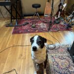 Aly Michalka Instagram – Here to report that the album is coming along just splendid & my aunt and mom are really leveling shit up. Can’t wait for you to hear what they’ve created- @bixbyofthehouseofblackandwhite