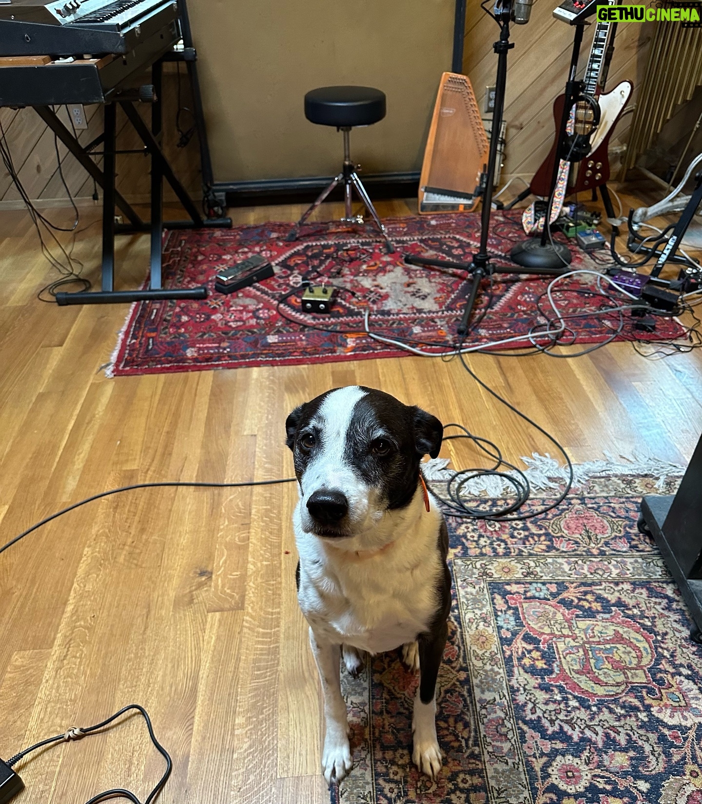 Aly Michalka Instagram - Here to report that the album is coming along just splendid & my aunt and mom are really leveling shit up. Can’t wait for you to hear what they’ve created- @bixbyofthehouseofblackandwhite
