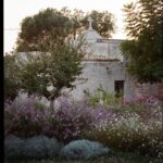 Aly Michalka Instagram - Spent the most wonderful week with close friends and family @masseriadonnagnora in Puglia! This week in stories I’ll be walking you through our expertly curated week there made possible by @thethinkingtraveller … I had never traveled in Europe this way with family and it led to so many unforgettable memories of this beautiful masseria and the magical region of 🇮🇹 #TheThinkingTraveller #MasseriaDonnagnora