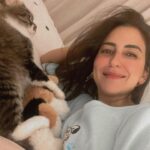 Alyaa Assaf Instagram - Busy being a cat mama 🐾♥️