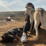 Alyaa Assaf Instagram – احب اعرفكم علي شكولاتة وبطاطا 🤍 الذ كلبين شوفتهم في حياتي واليوم اللي مش بروح عشان احطلهم اكل بحس ان اليوم فيه حاجة ناقصة وبيوحشوني 🤷🏼‍♀️🥹وشكولاتة هانم اللي نايمة في حضني دي زمان ماكنتش بتقربلي وكانت بتخاف مني وتستخبي اول ماروح دلوقتي بقيت قمة المياصة😂 بطاطا بقي بيغير من اخته وبقي بيعض ايدي لما العب معاها 😁
