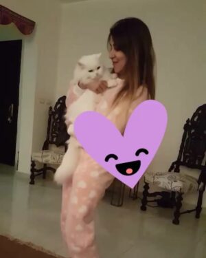 Alyaa Assaf Instagram - 😻❤️#actress #actresslife #pet #cat #love #happines #home #dance #beauty #natural #beingme