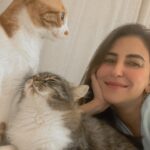 Alyaa Assaf Instagram - Busy being a cat mama 🐾♥️