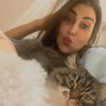 Alyaa Assaf Instagram - Busy being a cat mama 🐾♥️