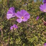 Alyssa Diaz Instagram – Some notes on beauty #4624