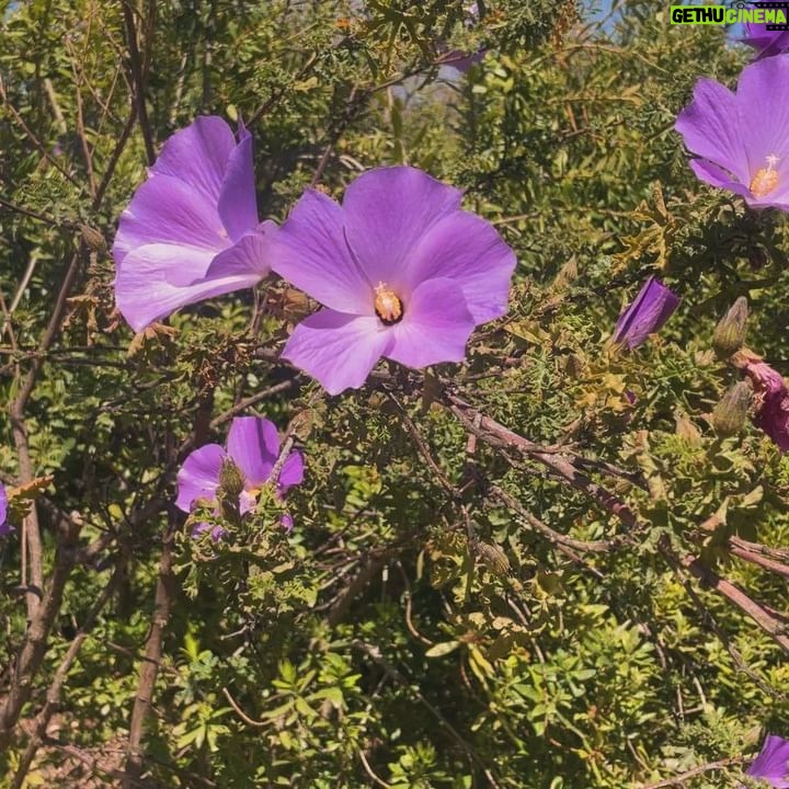 Alyssa Diaz Instagram - Some notes on beauty #4624
