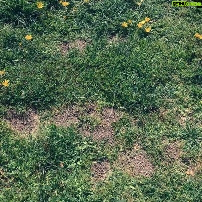 Alyssa Diaz Instagram - Some notes on play #329