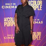Ama K. Abebrese Instagram - At @thecolorpurple VIP screening last night. Directed by @blitzambassador 💜 My outfit @anasekularac @casadeiofficial and styled by @marian_kwei. @warnerbrosuk @wbpictures #thecolorpurple #purplelove