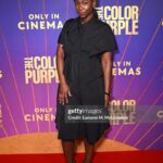 Ama K. Abebrese Instagram - At the VIP screening of @thecolorpurple last night. Congratulations to director @blitzambassador and the amazing cast. 💜 Styled by @marian_kwei Wearing @anasekularac dress with @casadeiofficial shoes. @warnerbrosuk thecolorpurple #purplelove