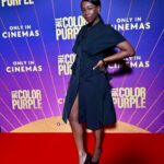 Ama K. Abebrese Instagram - At the VIP screening of @thecolorpurple last night. Congratulations to director @blitzambassador and the amazing cast. 💜 Styled by @marian_kwei Wearing @anasekularac dress with @casadeiofficial shoes. @warnerbrosuk thecolorpurple #purplelove