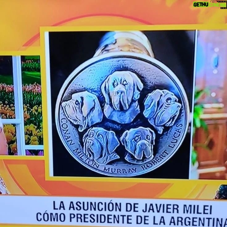Amalia González - 380 Likes - Hoy lunes era sí o sí para hablar de "ayer"...y también para un poco de autobombo jeje 😉
@empezareldiaoki
@ciudad_magazine 📺