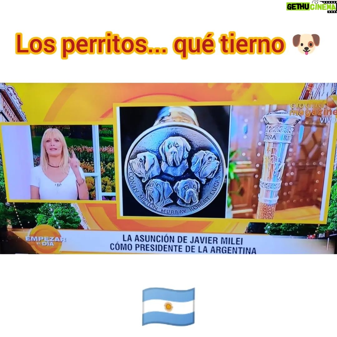 Amalia González - 380 Likes - Hoy lunes era sí o sí para hablar de "ayer"...y también para un poco de autobombo jeje 😉
@empezareldiaoki
@ciudad_magazine 📺