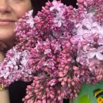 Amanda Lamb