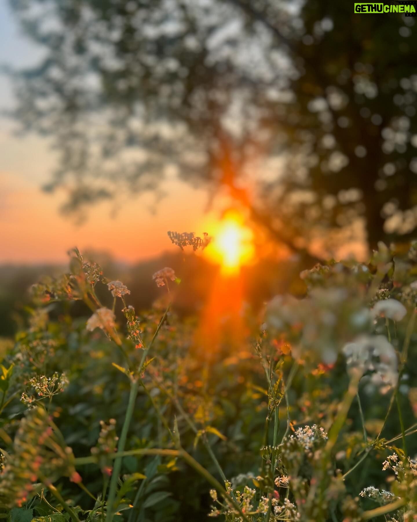 Amanda Lamb - 2K Likes - Funny isn’t it how you can live in an area for decades and never actually notice or see parts of it. Changed that last night and went and sat with the Badge and Lottie in the meadow at the top of Richmond Hill. It was absolute heaven. We sat and watched the sun go down, drank rose and J20’s from the @the_roebuck_richmond and staggered back very happy… sometimes it’s the small things isn’t it….