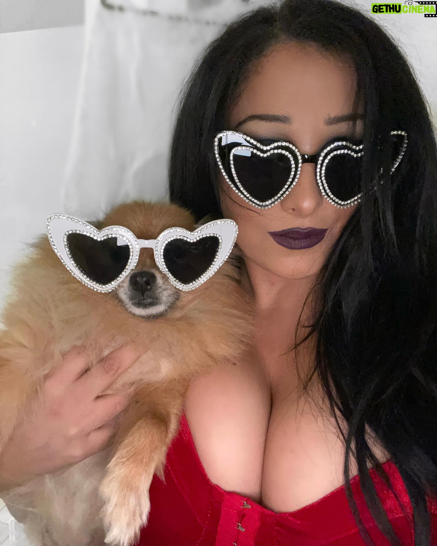 Amanda León - 1.8K Likes - ✨Another year of fabulous for my furchild✨ 🥹♥️ She’s also my best dog, dog of honor, ring bearer, flower girl… etc etc. for my wedding hehe. It’s basically her wedding let’s be honest. 🐕 💍 💒 👰🏻♀️
#pompom #pomeranian #dogsofinstagram #furbaby #cutie #bestdog #diva