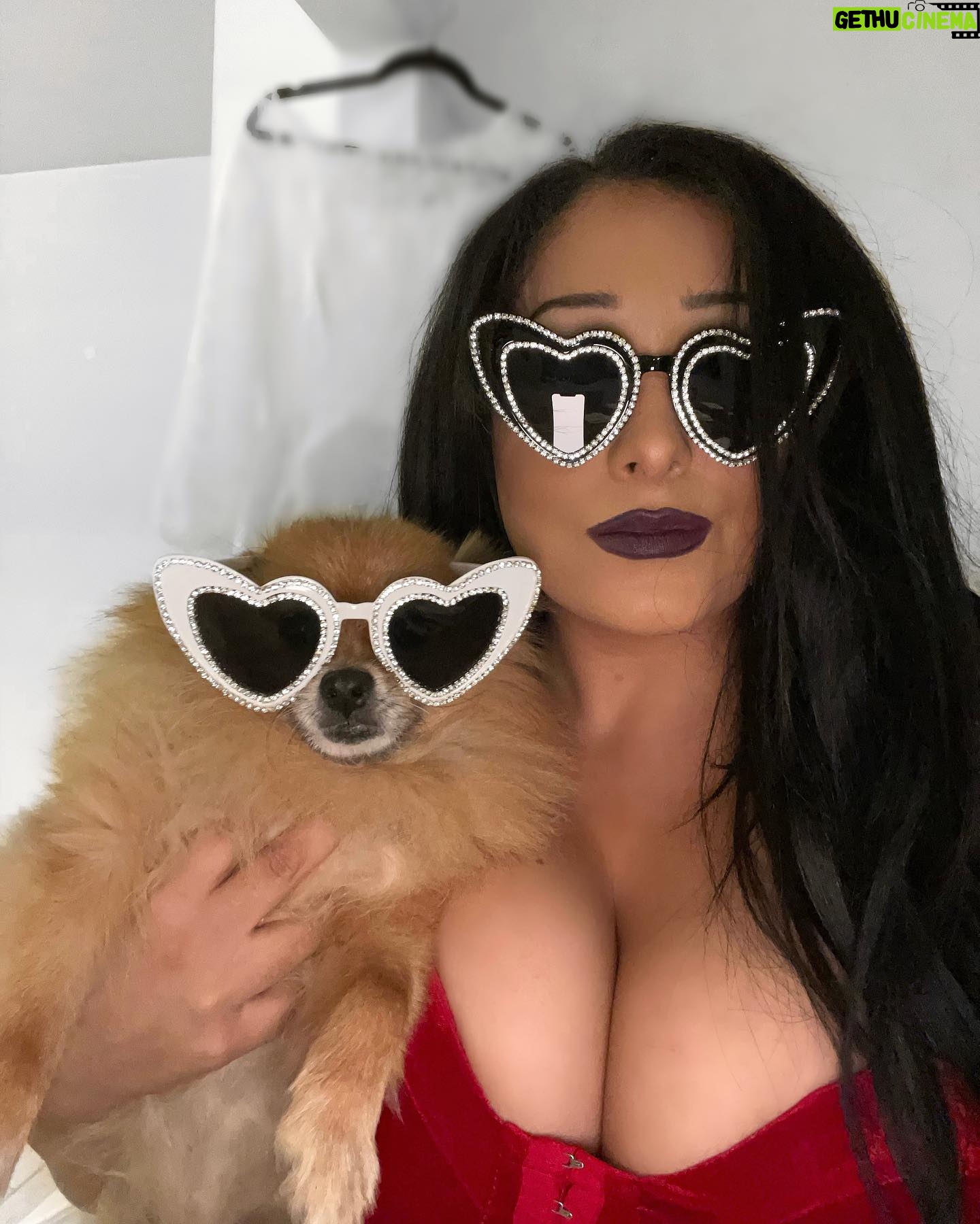 Amanda León - 1.8K Likes - ✨Another year of fabulous for my furchild✨ 🥹♥️ She’s also my best dog, dog of honor, ring bearer, flower girl… etc etc. for my wedding hehe. It’s basically her wedding let’s be honest. 🐕 💍 💒 👰🏻♀️
#pompom #pomeranian #dogsofinstagram #furbaby #cutie #bestdog #diva