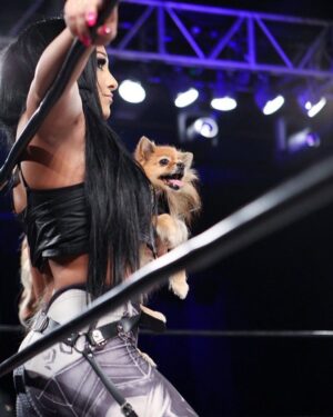Amanda León Instagram - My furchild. Love of my life. My everything. @diva_foxxy #nationalpuppyday 🐾 

For those of you saying she’s not my child see the last photo 🤓