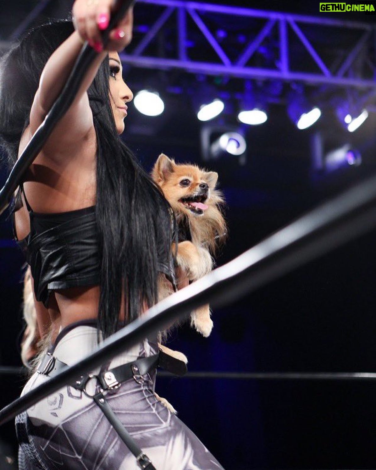 Amanda León - 1.9K Likes - My furchild. Love of my life. My everything. @diva_foxxy #nationalpuppyday 🐾
For those of you saying she’s not my child see the last photo 🤓